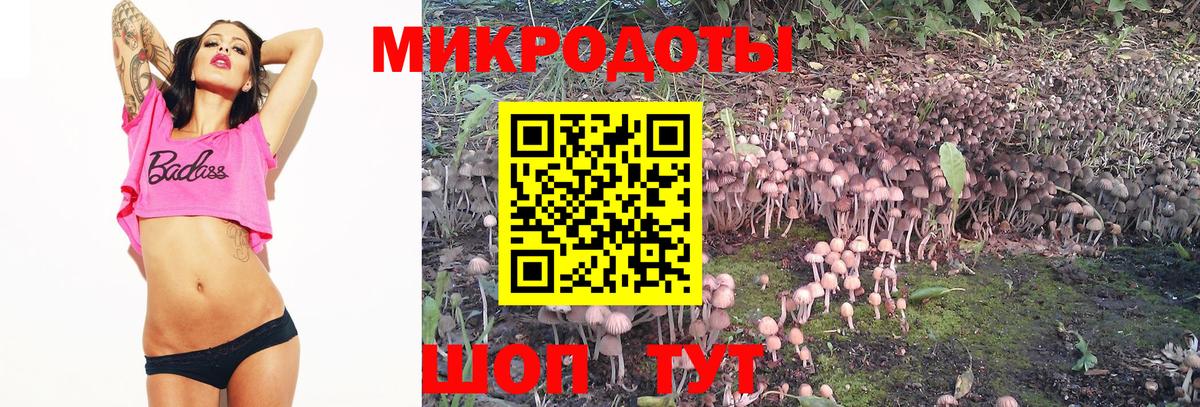 Псилоцибиновые грибы мухоморы Луга