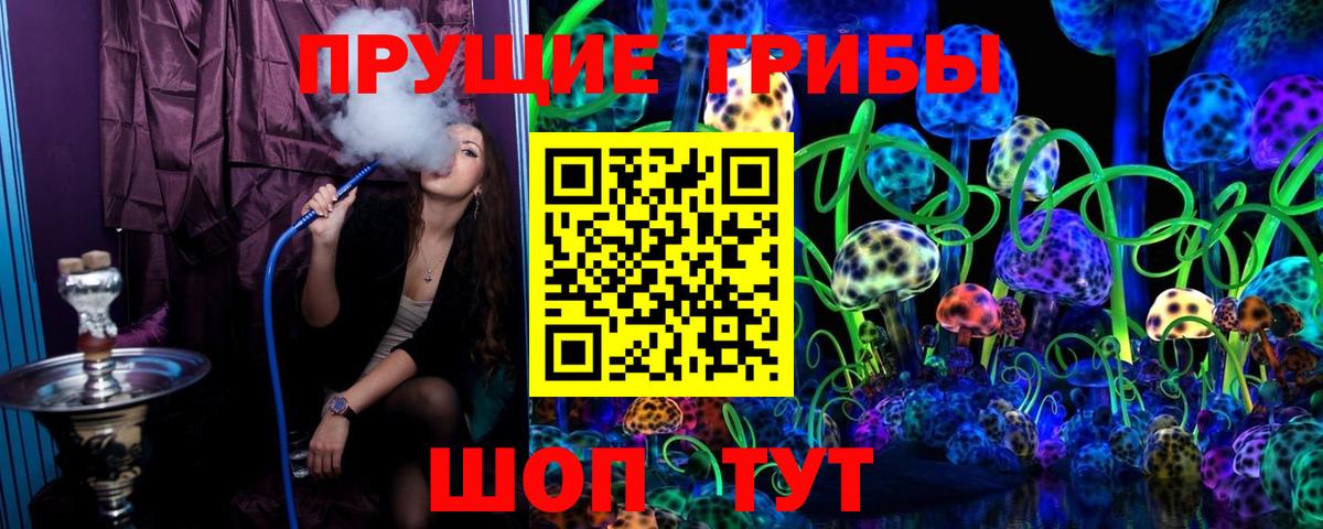 Луга  Псилоцибиновые грибы Cubensis  Псилоцибиновые грибы прущие грибы  наркота  Вход с VPN 